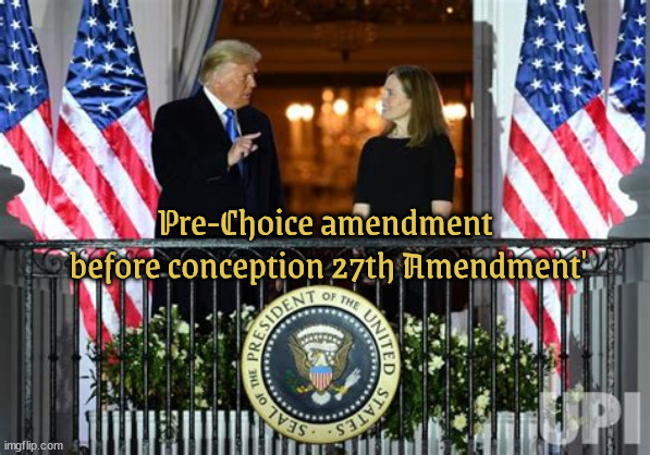 Pre-Choice 27th Amendment | Pre-Choice amendment  before conception 27th Amendment' | image tagged in trump court,amy coney barrett,scotus,pro-choice,2nd amendment | made w/ Imgflip meme maker