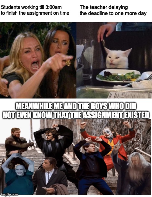 I will never complete my assignments | Students working till 3:00am to finish the assignment on time; The teacher delaying the deadline to one more day; MEANWHILE ME AND THE BOYS WHO DID NOT EVEN KNOW THAT THE ASSIGNMENT EXISTED | image tagged in memes,woman yelling at cat | made w/ Imgflip meme maker