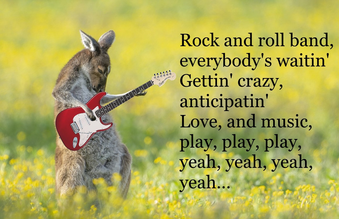 Keep on rocking | image tagged in guitar,kangaroo,rock guitar | made w/ Imgflip meme maker