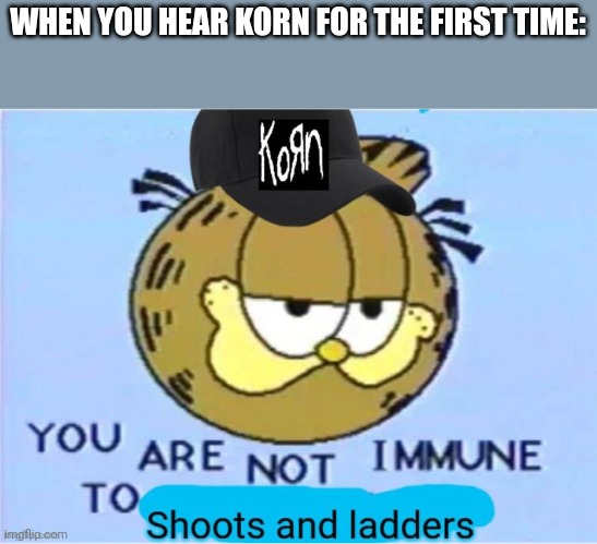 Korn has the funky bass. | WHEN YOU HEAR KORN FOR THE FIRST TIME: | image tagged in garfield korn | made w/ Imgflip meme maker