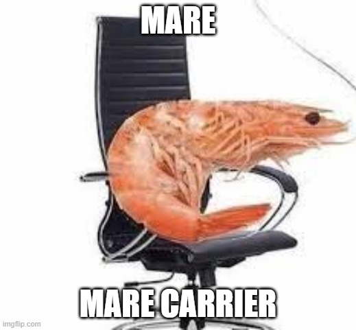 chair shrimp | MARE; MARE CARRIER | image tagged in chair shrimp | made w/ Imgflip meme maker
