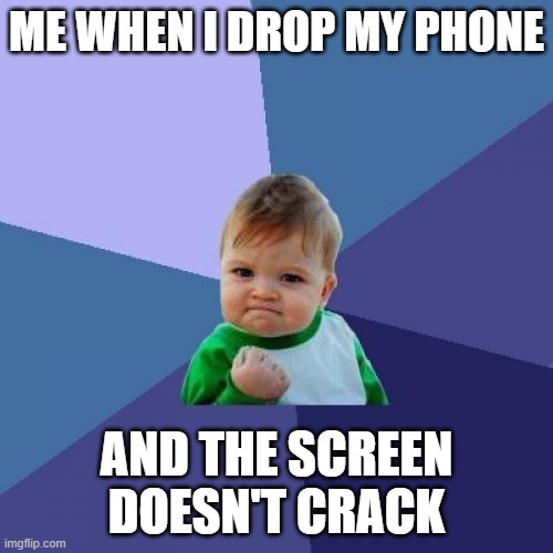 We can all relate to this, right? | ME WHEN I DROP MY PHONE; AND THE SCREEN DOESN'T CRACK | image tagged in memes,success kid | made w/ Imgflip meme maker