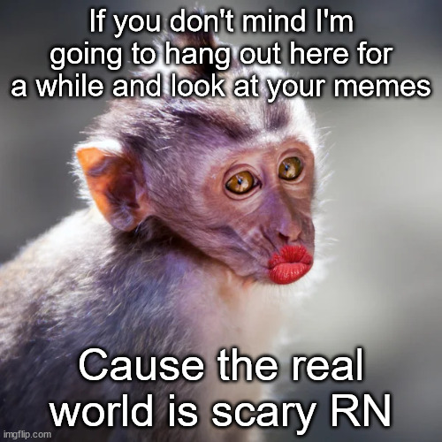 Memes | If you don't mind I'm going to hang out here for a while and look at your memes; Cause the real world is scary RN | image tagged in memes,scary,life | made w/ Imgflip meme maker