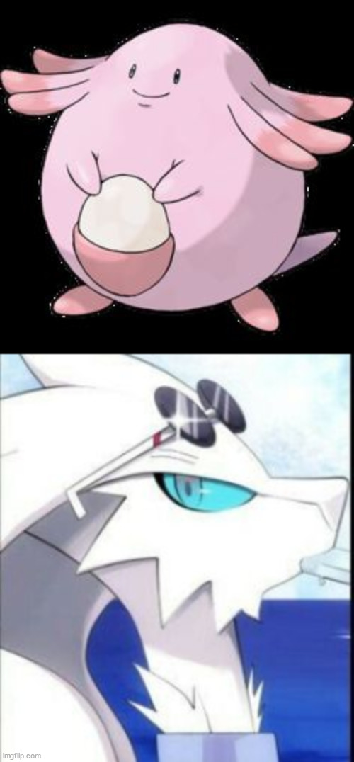 image tagged in chansey,reshiram with sunglasses | made w/ Imgflip meme maker