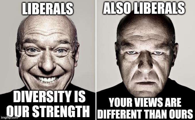 Diversity is our Strength !  A pictorial essay on the Liberal DEI philosophical enigma | ALSO LIBERALS; LIBERALS; YOUR VIEWS ARE DIFFERENT THAN OURS; DIVERSITY IS OUR STRENGTH | image tagged in dean norris reaction,dei,liberals,liberal logic,leftists,liberal hypocrisy | made w/ Imgflip meme maker