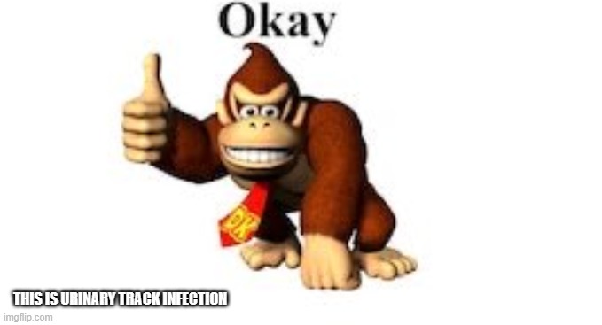 DK ok. | THIS IS URINARY TRACK INFECTION | image tagged in dk ok | made w/ Imgflip meme maker