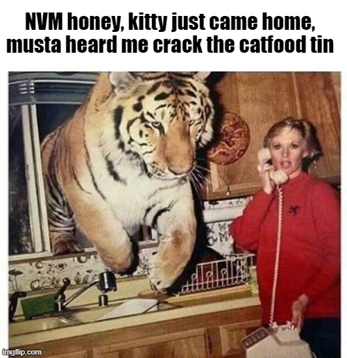 Kitty Kahn returns | NVM honey, kitty just came home, musta heard me crack the catfood tin | image tagged in jungle book,tiger,kahn,feed time | made w/ Imgflip meme maker