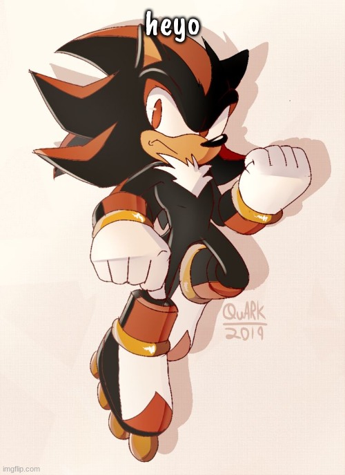 shadow with actual rollerskates | heyo | image tagged in shadow with actual rollerskates | made w/ Imgflip meme maker