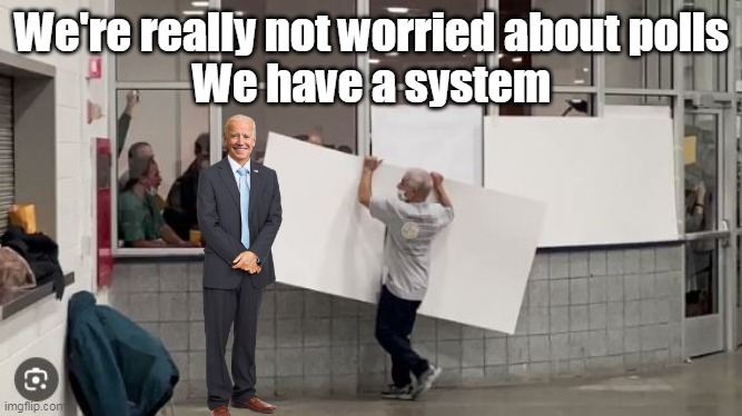 We're really not worried about polls
We have a system | made w/ Imgflip meme maker