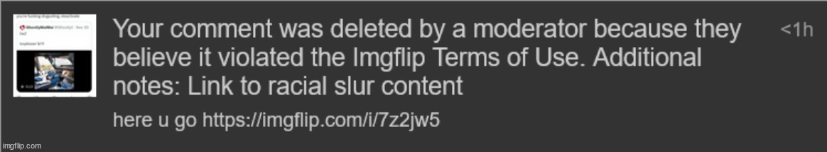 its called "giving proof against an awful user" not "racial slur content", and again, im perma banned in msmg cuz site mids shit | made w/ Imgflip meme maker