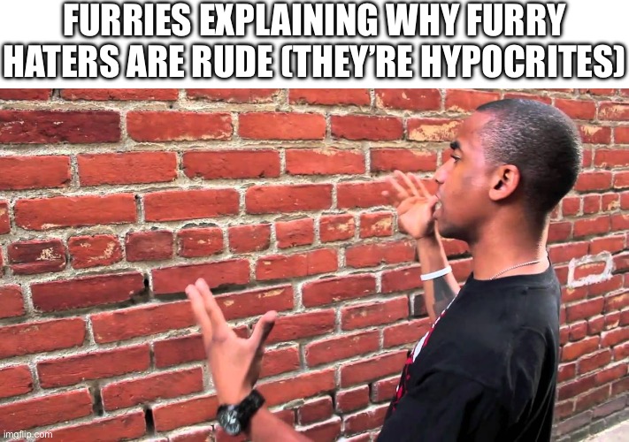 furry slander | FURRIES EXPLAINING WHY FURRY HATERS ARE RUDE (THEY’RE HYPOCRITES) | image tagged in talking to wall,furry,anti furry,facts,slander | made w/ Imgflip meme maker