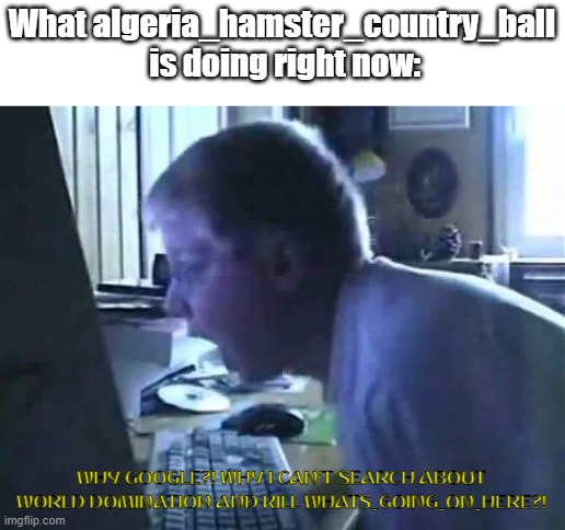 Huh. | What algeria_hamster_country_ball  is doing right now:; WHY GOOGLE?! WHY I CAN'T SEARCH ABOUT WORLD DOMINATION AND KILL WHATS_GOING_ON_HERE?! | image tagged in angry german kid scream | made w/ Imgflip meme maker