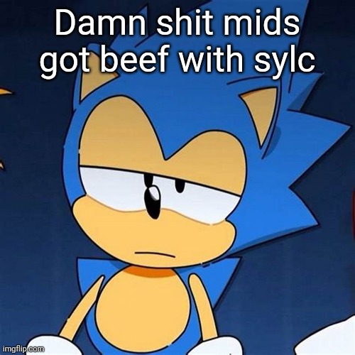bruh | Damn shit mids got beef with sylc | image tagged in bruh | made w/ Imgflip meme maker