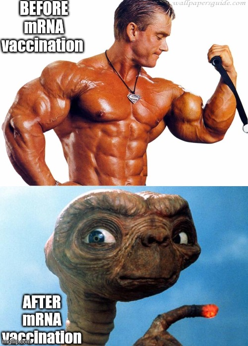 BEFORE
mRNA vaccination AFTER
mRNA vaccination | image tagged in body builder,et phone home | made w/ Imgflip meme maker