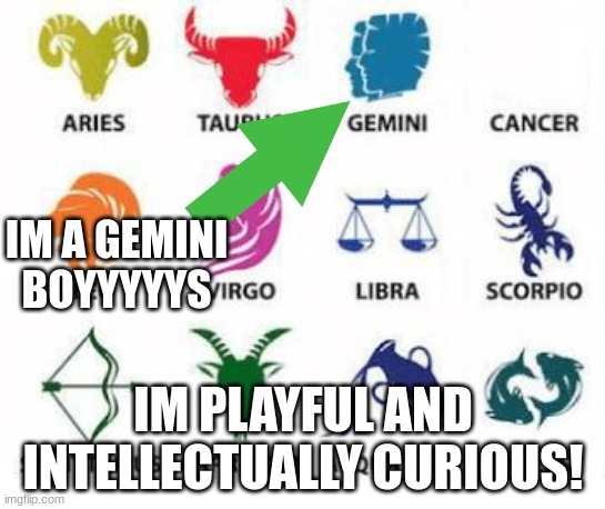 Zodiac Signs | IM A GEMINI BOYYYYYS; IM PLAYFUL AND INTELLECTUALLY CURIOUS! | image tagged in zodiac signs | made w/ Imgflip meme maker