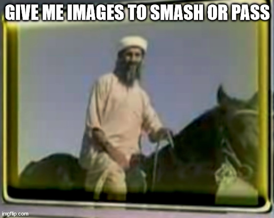 osama on horse | GIVE ME IMAGES TO SMASH OR PASS | image tagged in osama on horse | made w/ Imgflip meme maker