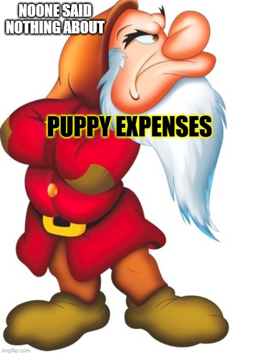 puppy expenses | NOONE SAID NOTHING ABOUT; PUPPY EXPENSES | image tagged in grmupy disney,doggo,funny dog memes | made w/ Imgflip meme maker
