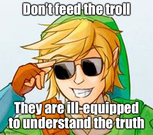 Troll Link | Don’t feed the troll They are ill-equipped to understand the truth | image tagged in troll link | made w/ Imgflip meme maker