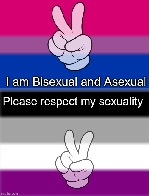 Eeeeee! | I am Bisexual and Asexual; Please respect my sexuality | image tagged in bi flag,asexual flag | made w/ Imgflip meme maker