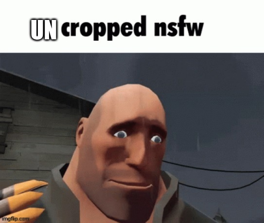 Cropped nsfw | UN | image tagged in cropped nsfw | made w/ Imgflip meme maker