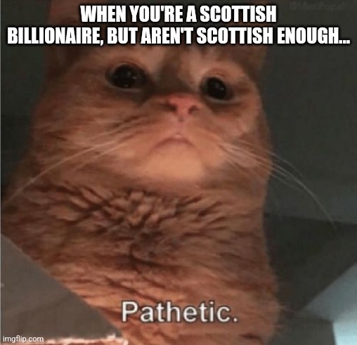 Not Scottish Enough | WHEN YOU'RE A SCOTTISH BILLIONAIRE, BUT AREN'T SCOTTISH ENOUGH... | image tagged in pathetic cat,scrooge mcduck | made w/ Imgflip meme maker