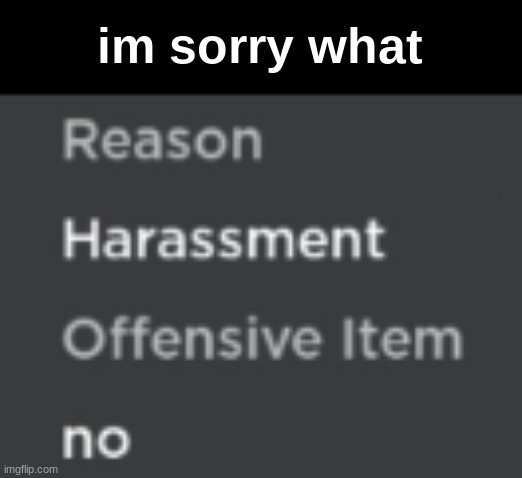 im sorry what | made w/ Imgflip meme maker