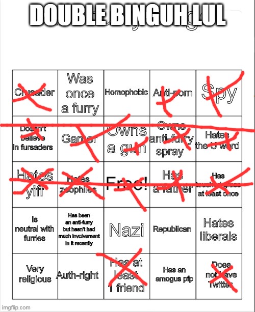 double bingo and this time i didn't forget something! | DOUBLE BINGUH LUL | image tagged in anti-furry bingo | made w/ Imgflip meme maker