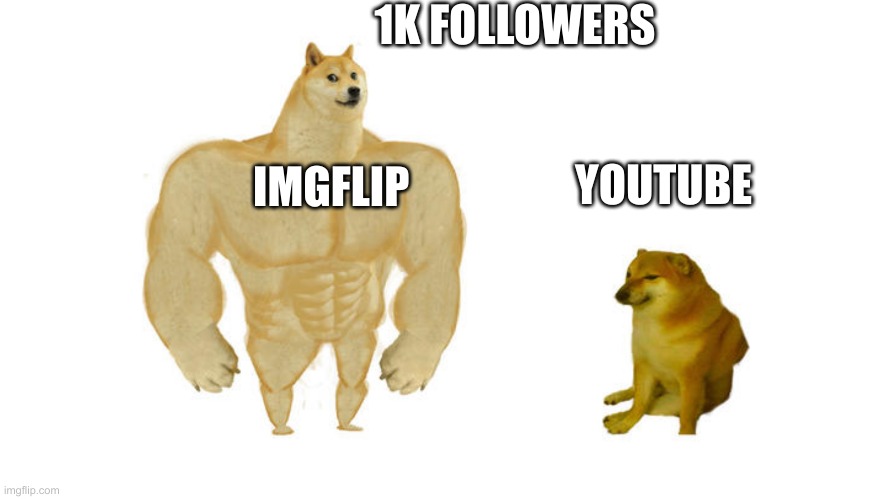 Imgflip v. Youtube | 1K FOLLOWERS; IMGFLIP; YOUTUBE | image tagged in muscle dog,youtube,social media,followers,imgflip,meanwhile on imgflip | made w/ Imgflip meme maker
