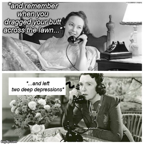 Women Sharing Dirty Secrets | "and remember when you dragged your butt across the lawn..." "...and left two deep depressions" | image tagged in women sharing dirty secrets | made w/ Imgflip meme maker