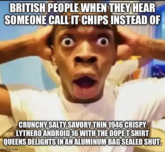Surprised Black Guy | BRITISH PEOPLE WHEN THEY HEAR SOMEONE CALL IT CHIPS INSTEAD OF; CRUNCHY SALTY SAVORY THIN 1946 CRISPY LYTHERO ANDROID 16 WITH THE DOPE T SHIRT QUEENS DELIGHTS IN AN ALUMINUM BAG SEALED SHUT. | image tagged in surprised black guy | made w/ Imgflip meme maker