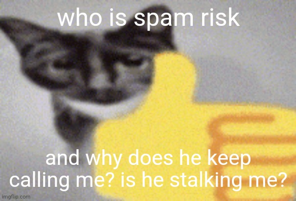 thumbs up cat | who is spam risk; and why does he keep calling me? is he stalking me? | image tagged in thumbs up cat | made w/ Imgflip meme maker
