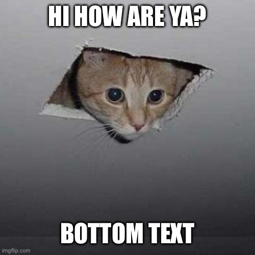 Ceiling Cat Meme | HI HOW ARE YA? BOTTOM TEXT | image tagged in memes,ceiling cat | made w/ Imgflip meme maker