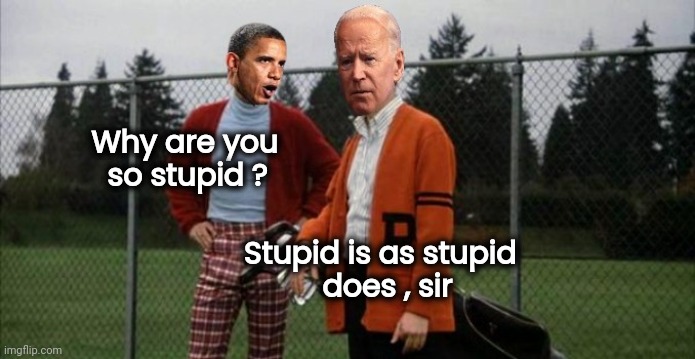 Democrats House | Why are you
  so stupid ? Stupid is as stupid
does , sir | image tagged in democrats house | made w/ Imgflip meme maker