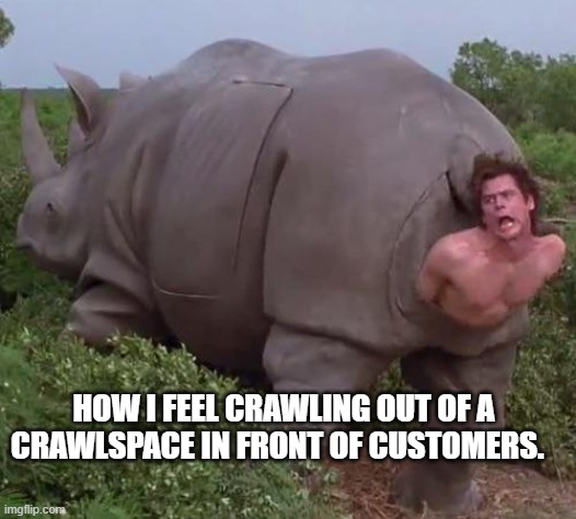 How i feel working for orkin | HOW I FEEL CRAWLING OUT OF A CRAWLSPACE IN FRONT OF CUSTOMERS. | image tagged in orkin,crawlspace,pest,pest control,rats | made w/ Imgflip meme maker
