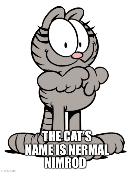 THE CAT’S NAME IS NERMAL NIMROD | image tagged in nermal | made w/ Imgflip meme maker
