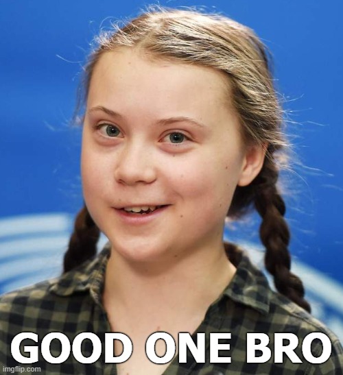 Greta Thunberg | GOOD ONE BRO | image tagged in greta thunberg | made w/ Imgflip meme maker