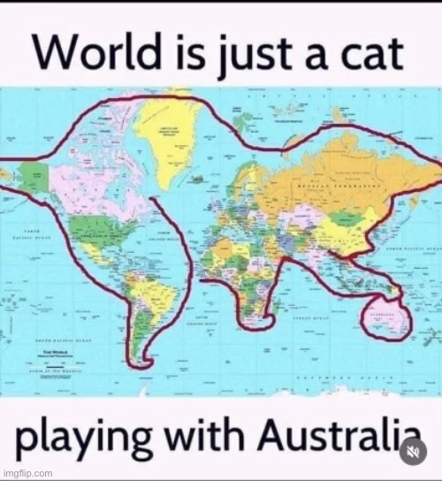 Kee kee | image tagged in cats,geography,oh wow are you actually reading these tags | made w/ Imgflip meme maker