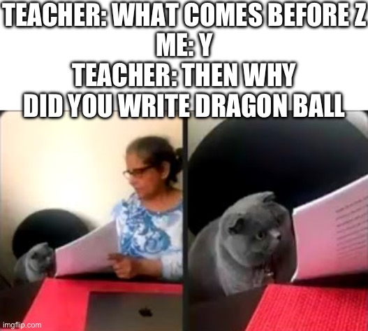 Image title | TEACHER: WHAT COMES BEFORE Z
ME: Y
TEACHER: THEN WHY DID YOU WRITE DRAGON BALL | image tagged in cat looking at test,dragon ball z,smort,stupid | made w/ Imgflip meme maker