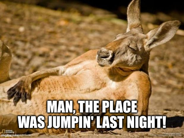 Chillin Kangaroo | MAN, THE PLACE WAS JUMPIN' LAST NIGHT! | image tagged in chillin kangaroo | made w/ Imgflip meme maker