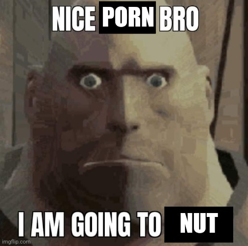 Nice joke bro, i am going to laugh | PORN; NUT | image tagged in nice joke bro i am going to laugh | made w/ Imgflip meme maker