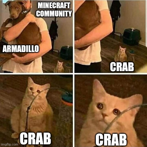 Crab | MINECRAFT COMMUNITY; ARMADILLO; CRAB; CRAB; CRAB | image tagged in sad cat holding dog | made w/ Imgflip meme maker
