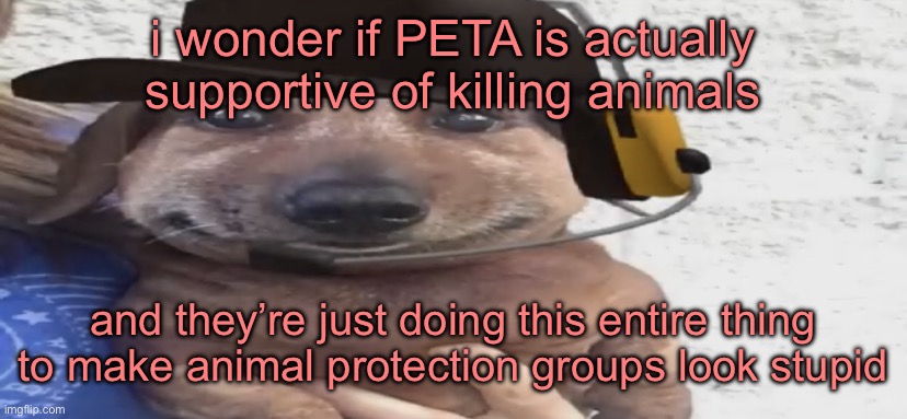 chucklenuts | i wonder if PETA is actually supportive of killing animals; and they’re just doing this entire thing to make animal protection groups look stupid | image tagged in chucklenuts | made w/ Imgflip meme maker