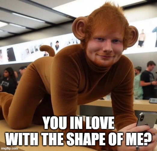 Monkey Sheeran | YOU IN LOVE WITH THE SHAPE OF ME? | image tagged in ed sheeran | made w/ Imgflip meme maker