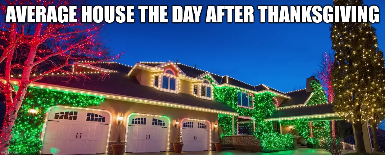 so true | AVERAGE HOUSE THE DAY AFTER THANKSGIVING | image tagged in christmas,merry christmas,christmas memes | made w/ Imgflip meme maker