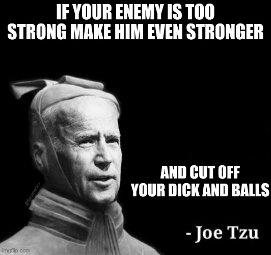 Joe Tzu wise again | IF YOUR ENEMY IS TOO STRONG MAKE HIM EVEN STRONGER; AND CUT OFF YOUR DICK AND BALLS | image tagged in joe tzu box | made w/ Imgflip meme maker