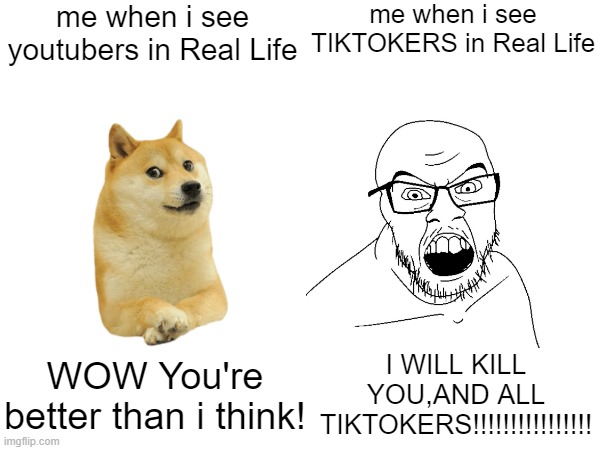 i love youtube,i hate TIKTOK | me when i see youtubers in Real Life; me when i see TIKTOKERS in Real Life; WOW You're better than i think! I WILL KILL YOU,AND ALL TIKTOKERS!!!!!!!!!!!!!!!! | image tagged in youtube,tik tok sucks | made w/ Imgflip meme maker