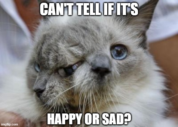 Two Faced | CAN'T TELL IF IT'S; HAPPY OR SAD? | image tagged in cat | made w/ Imgflip meme maker