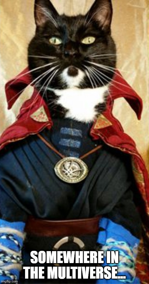 Meow Strange | SOMEWHERE IN THE MULTIVERSE... | image tagged in dr strange | made w/ Imgflip meme maker