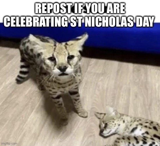 huh | REPOST IF YOU ARE CELEBRATING ST NICHOLAS DAY | image tagged in huh | made w/ Imgflip meme maker