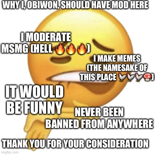 Sheesh | WHY I, OBIWON, SHOULD HAVE MOD HERE; I MODERATE MSMG (HELL 🔥🔥🔥); I MAKE MEMES (THE NAMESAKE OF THIS PLACE 🐓🐓🐓🍄); IT WOULD BE FUNNY; NEVER BEEN BANNED FROM ANYWHERE; THANK YOU FOR YOUR CONSIDERATION | image tagged in sheesh | made w/ Imgflip meme maker